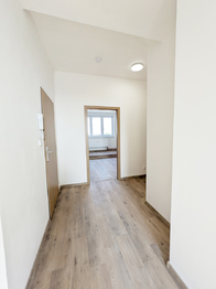 Pronájem bytu 3+kk v družstevním vlastnictví 82 m², Havířov