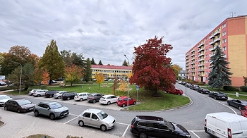 Pronájem bytu 2+1 v osobním vlastnictví 56 m², Šumperk