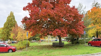 Pronájem bytu 2+1 v osobním vlastnictví 56 m², Šumperk