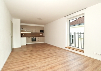 Pronájem bytu 2+kk v osobním vlastnictví 56 m², Starý Plzenec