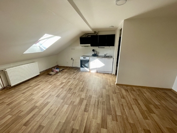 Pronájem bytu 3+kk v osobním vlastnictví 475 m², Duchcov