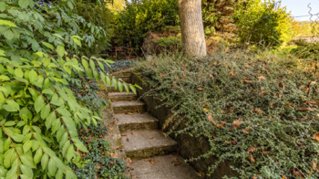 Prodej pozemku 863 m², Okrouhlá