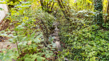 Prodej pozemku 863 m², Okrouhlá