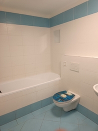 Pronájem bytu 2+kk v osobním vlastnictví 38 m², Praha 10 - Hostivař
