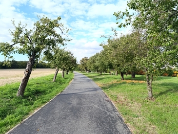 Prodej bytu 2+kk v osobním vlastnictví 64 m², Praha 9 - Čakovice