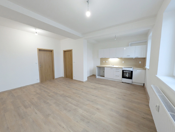 Pronájem bytu 3+kk v družstevním vlastnictví 58 m², Havířov