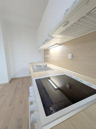 Pronájem bytu 3+kk v družstevním vlastnictví 59 m², Havířov