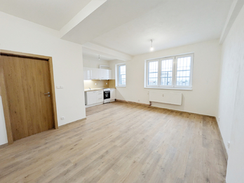 Pronájem bytu 3+kk v družstevním vlastnictví 59 m², Havířov
