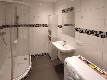 Koupelna - garsonka - Prodej domu 215 m², Stěžery