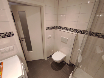 Koupelna - garsonka - Prodej domu 215 m², Stěžery