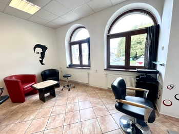 Prodej obchodních prostor 63 m², Kyjov