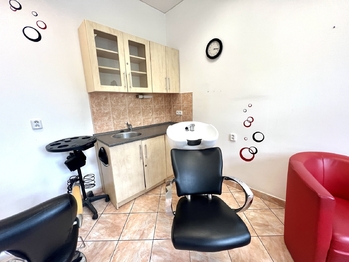 Prodej obchodních prostor 63 m², Kyjov