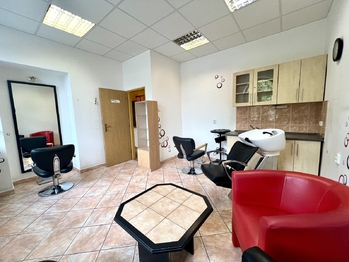 Prodej obchodních prostor 63 m², Kyjov