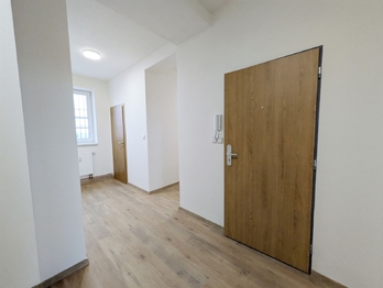 Pronájem bytu 3+kk v družstevním vlastnictví 59 m², Havířov