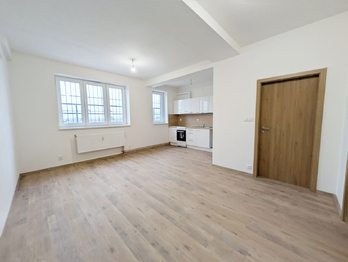 Pronájem bytu 3+kk v družstevním vlastnictví 59 m², Havířov