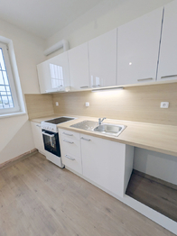 Pronájem bytu 3+kk v družstevním vlastnictví 59 m², Havířov