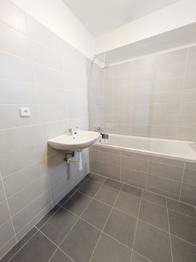 Pronájem bytu 3+kk v družstevním vlastnictví 59 m², Havířov