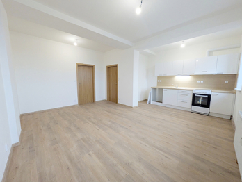 Pronájem bytu 3+kk v družstevním vlastnictví 59 m², Havířov