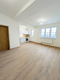 Pronájem bytu 3+kk v družstevním vlastnictví 59 m², Havířov