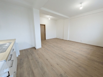 Pronájem bytu 3+kk v družstevním vlastnictví 58 m², Havířov
