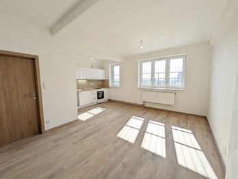 Pronájem bytu 3+kk v družstevním vlastnictví 76 m², Havířov