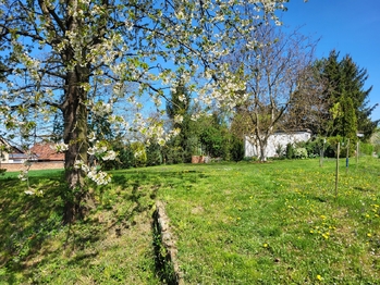 Prodej pozemku 1095 m², Vřesovice
