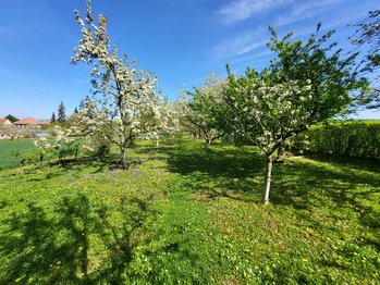 Prodej pozemku 1095 m², Vřesovice