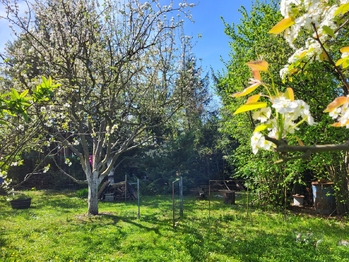 Prodej pozemku 1095 m², Vřesovice
