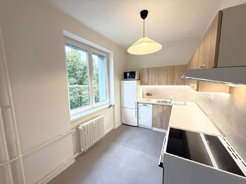 Pronájem bytu 2+1 v osobním vlastnictví 53 m², Praha 3 - Žižkov