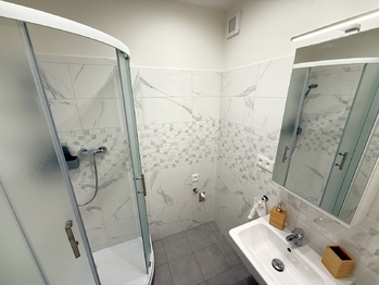 Pronájem bytu 2+1 v osobním vlastnictví 53 m², Praha 3 - Žižkov