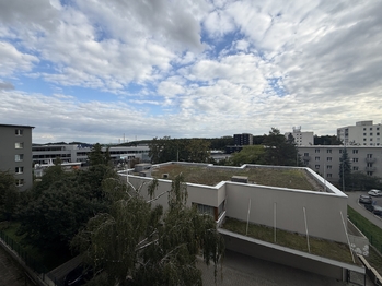 Pronájem bytu 2+1 v osobním vlastnictví 53 m², Praha 3 - Žižkov