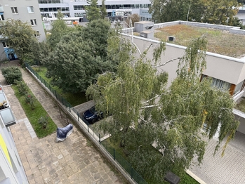 Pronájem bytu 2+1 v osobním vlastnictví 53 m², Praha 3 - Žižkov