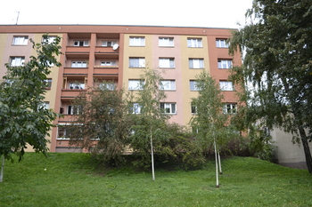 Prodej bytu 2+1 v osobním vlastnictví 52 m², Praha 3 - Žižkov