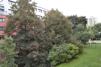 Prodej bytu 2+1 v osobním vlastnictví 52 m², Praha 3 - Žižkov