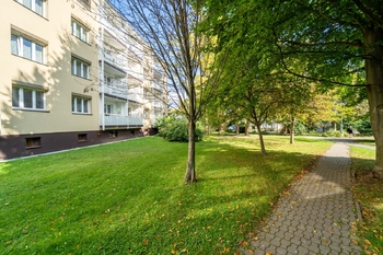 Pohled dům a okolí - Pronájem bytu 3+1 v osobním vlastnictví 76 m², Kolín