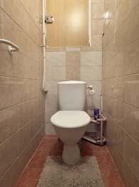 Toaleta - Prodej bytu 3+1 v osobním vlastnictví 72 m², Drnholec