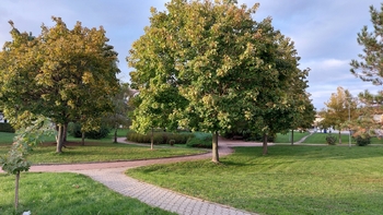 Pronájem bytu 1+kk v osobním vlastnictví 39 m², Slavkov u Brna