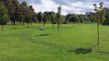 Pronájem bytu 1+kk v osobním vlastnictví 39 m², Slavkov u Brna