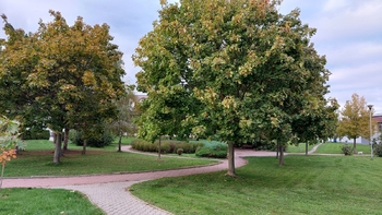 Pronájem bytu 1+kk v osobním vlastnictví 39 m², Slavkov u Brna