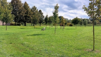Pronájem bytu 1+kk v osobním vlastnictví 39 m², Slavkov u Brna
