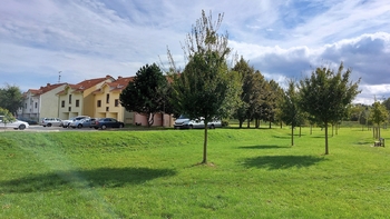 Pronájem bytu 1+kk v osobním vlastnictví 39 m², Slavkov u Brna