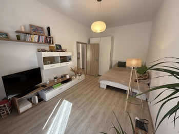 Pronájem bytu 2+kk v osobním vlastnictví 40 m², Praha 10 - Vršovice