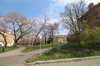 Pronájem bytu 2+kk v osobním vlastnictví 40 m², Praha 10 - Vršovice