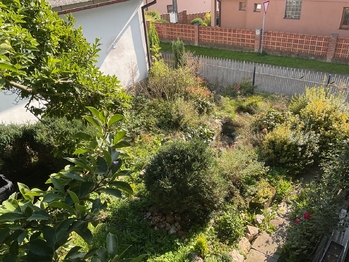 zahrada - Prodej domu 151 m², Světlá nad Sázavou