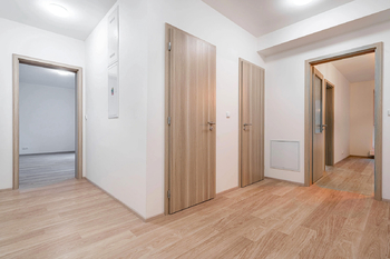 Pronájem bytu 3+kk v družstevním vlastnictví 13506 m², Liberec