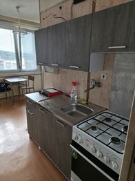 Pronájem bytu 1+1 v osobním vlastnictví 48 m², Jindřichův Hradec