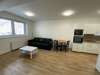 obývací pokoj - Pronájem bytu 1+kk v osobním vlastnictví 46 m², Plzeň