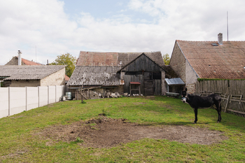 Zahrada - Prodej domu 89 m², Okřínek