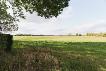 Zahrada - Prodej domu 89 m², Okřínek