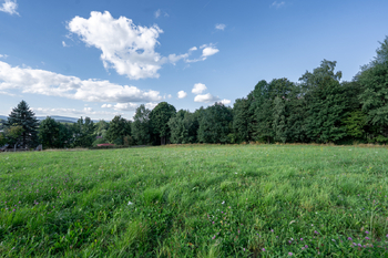 Prodej pozemku 1938 m², Zdíkov